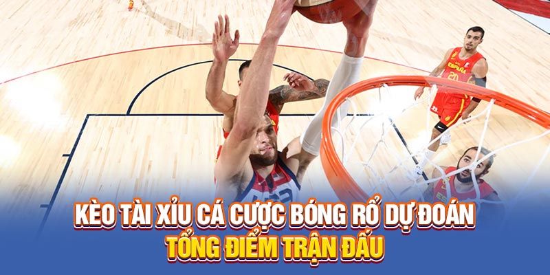 Cách chơi Cá Cược Bóng Rổ hiệu quả tại IBET68 – Bắt kèo chuẩn, thắng tiền lớn 2 Các loại cược phổ biến